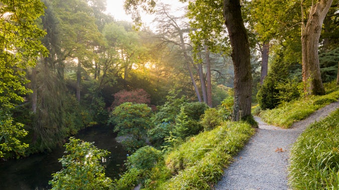 A view taken of the Dell at Bodnant Garden, North Wales with a pathway stretching ahead and a stream to the left surrounded by greenery and tall trees